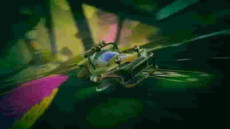 Trailblazers screenshot thumbnail screenshot 6