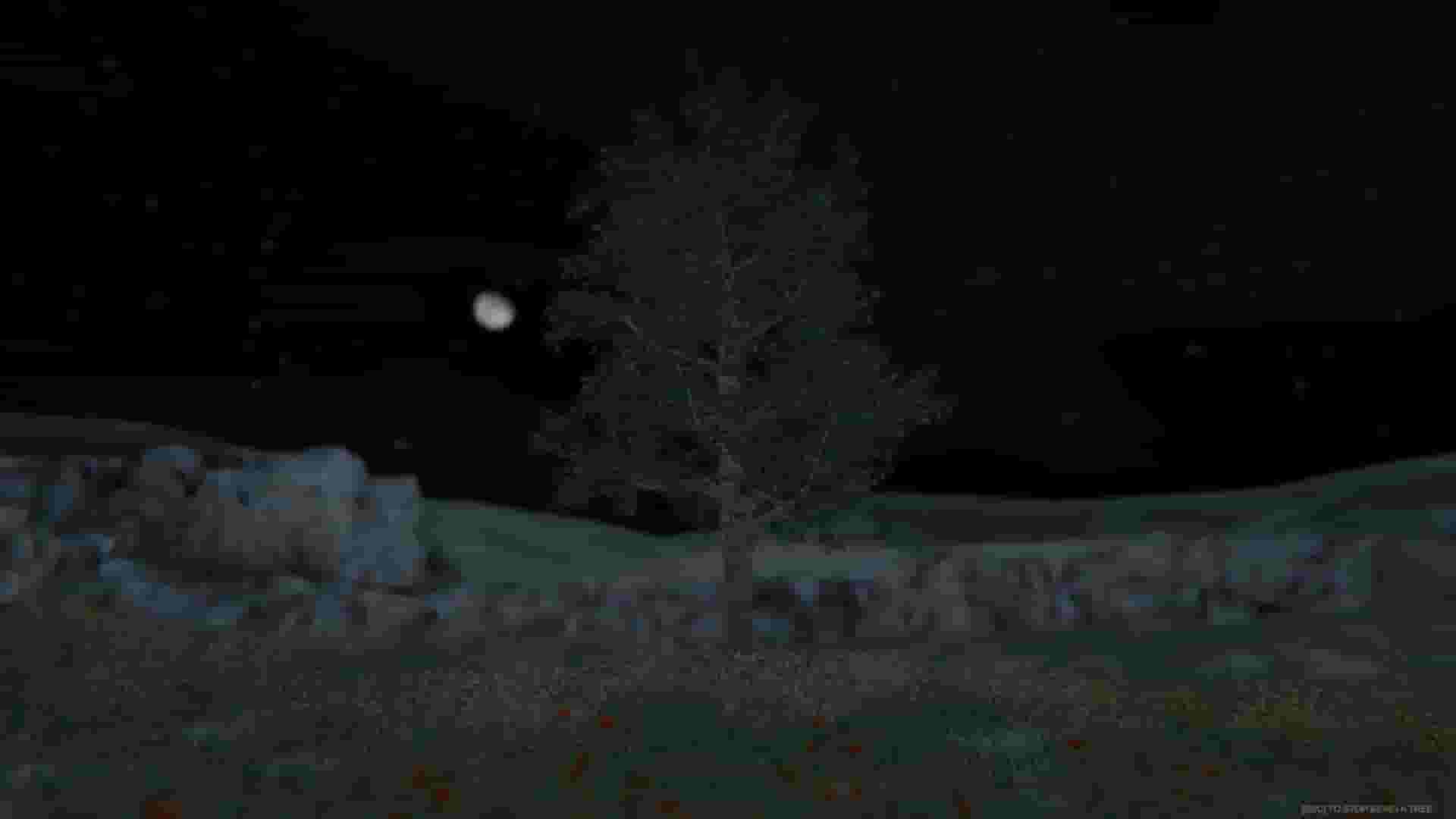 Tree Simulator 2020 screenshot thumbnail screenshot 2