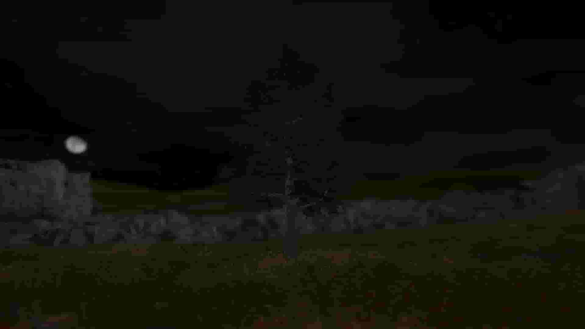 Tree Simulator 2022 screenshot thumbnail screenshot 4