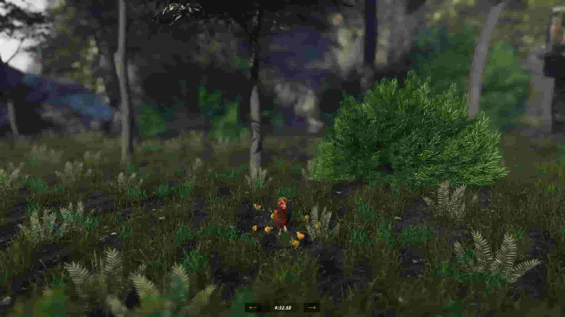 Unlucky Chicken screenshot thumbnail screenshot 4