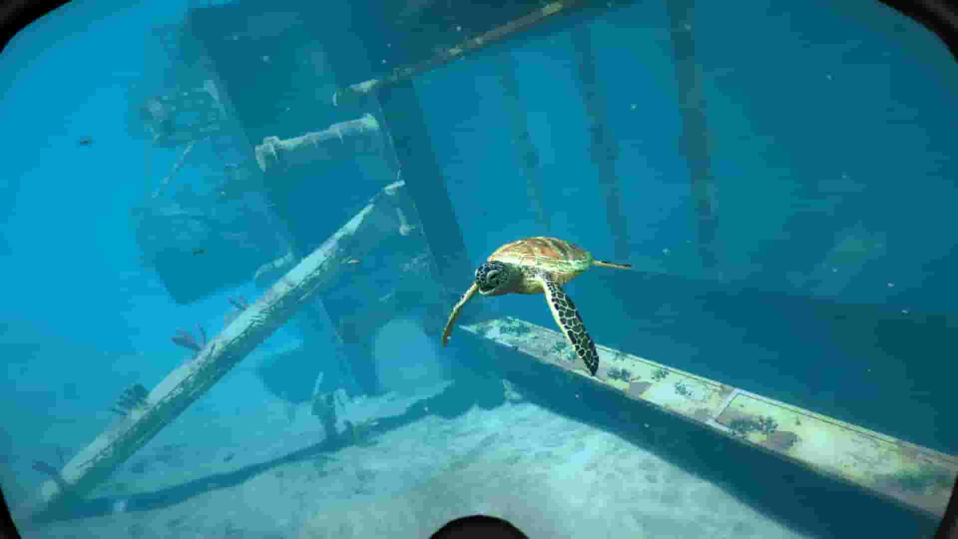 World of Diving screenshot thumbnail screenshot 9