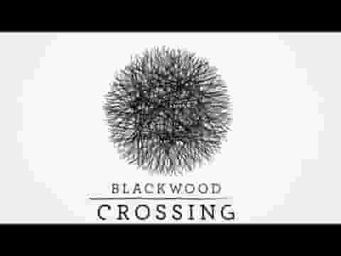 Blackwood Crossing screenshot thumbnail video