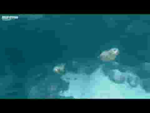 Deep Diving Simulator screenshot thumbnail video