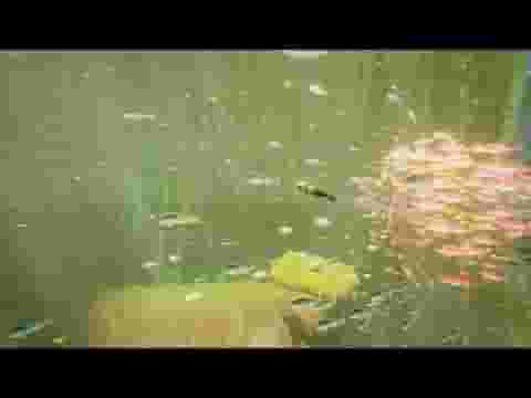 ABZÛ screenshot thumbnail video