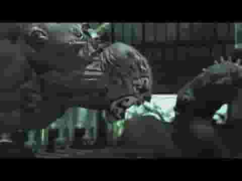 Batman: Arkham Asylum Game of the Year Edition screenshot thumbnail video