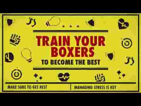 World Championship Boxing Manager 2 screenshot thumbnail video