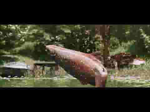 Ultimate Fishing Simulator screenshot thumbnail video