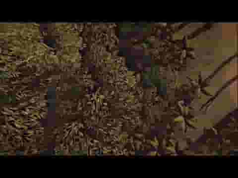 The Church in the Darkness screenshot thumbnail video