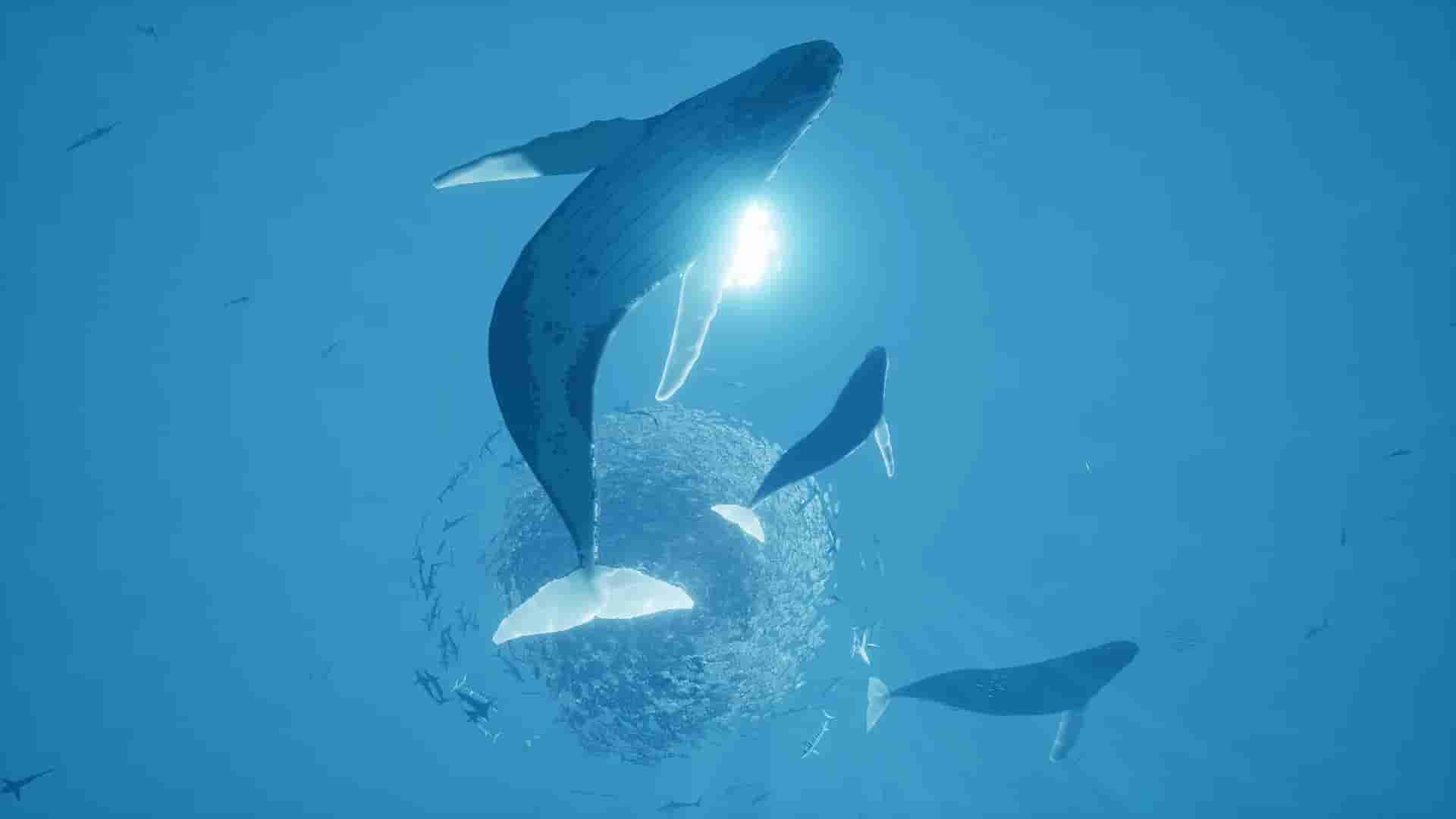 ABZU screenshot thumbnail screenshot 2