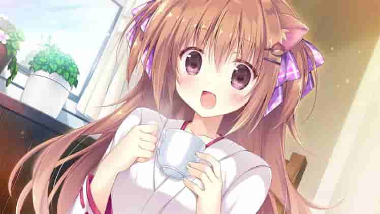 Amairo Chocolate screenshot thumbnail screenshot 4