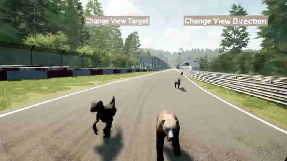 Animal Race Run VR screenshot thumbnail screenshot 8