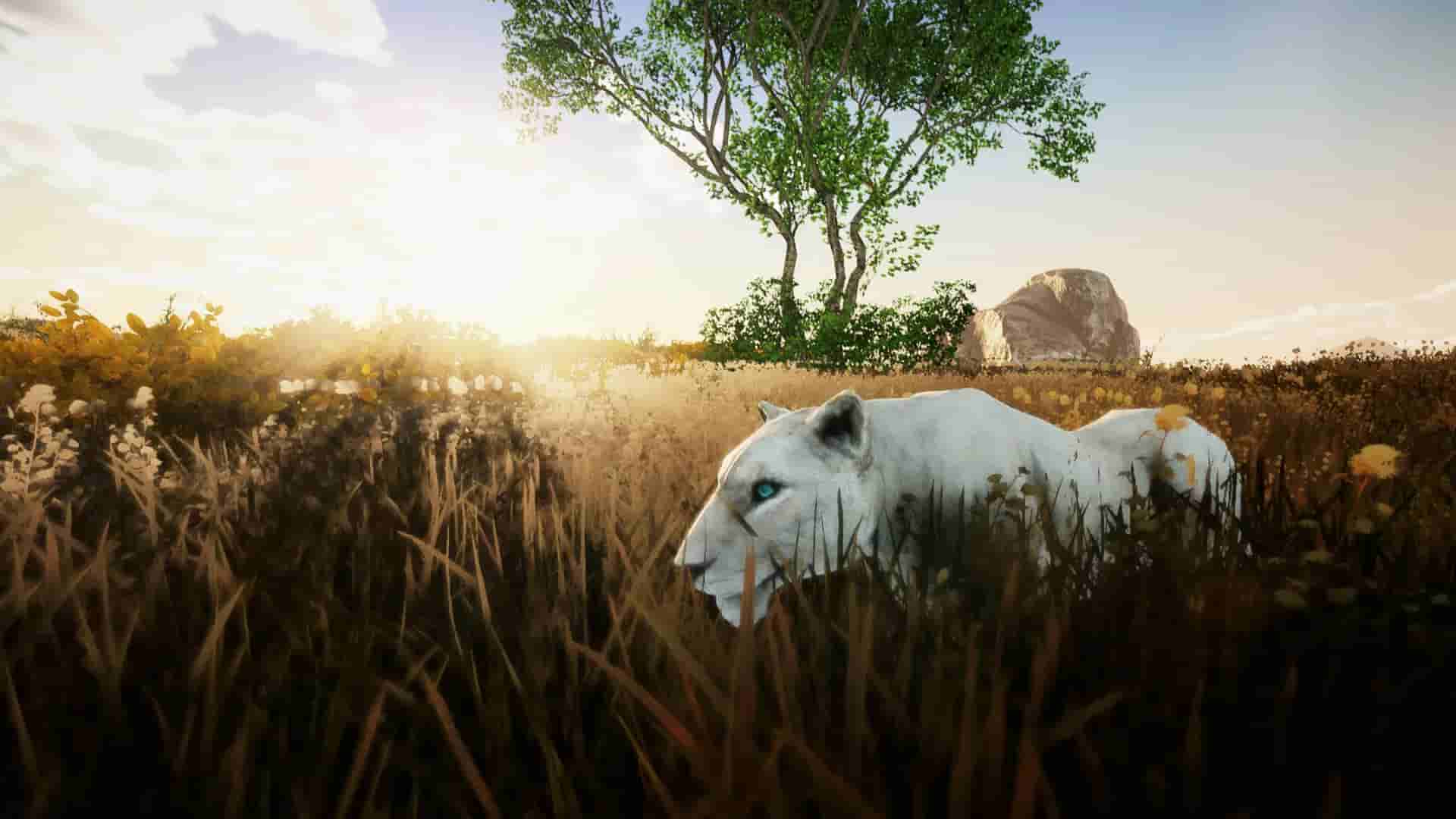 Animallica screenshot thumbnail screenshot 7