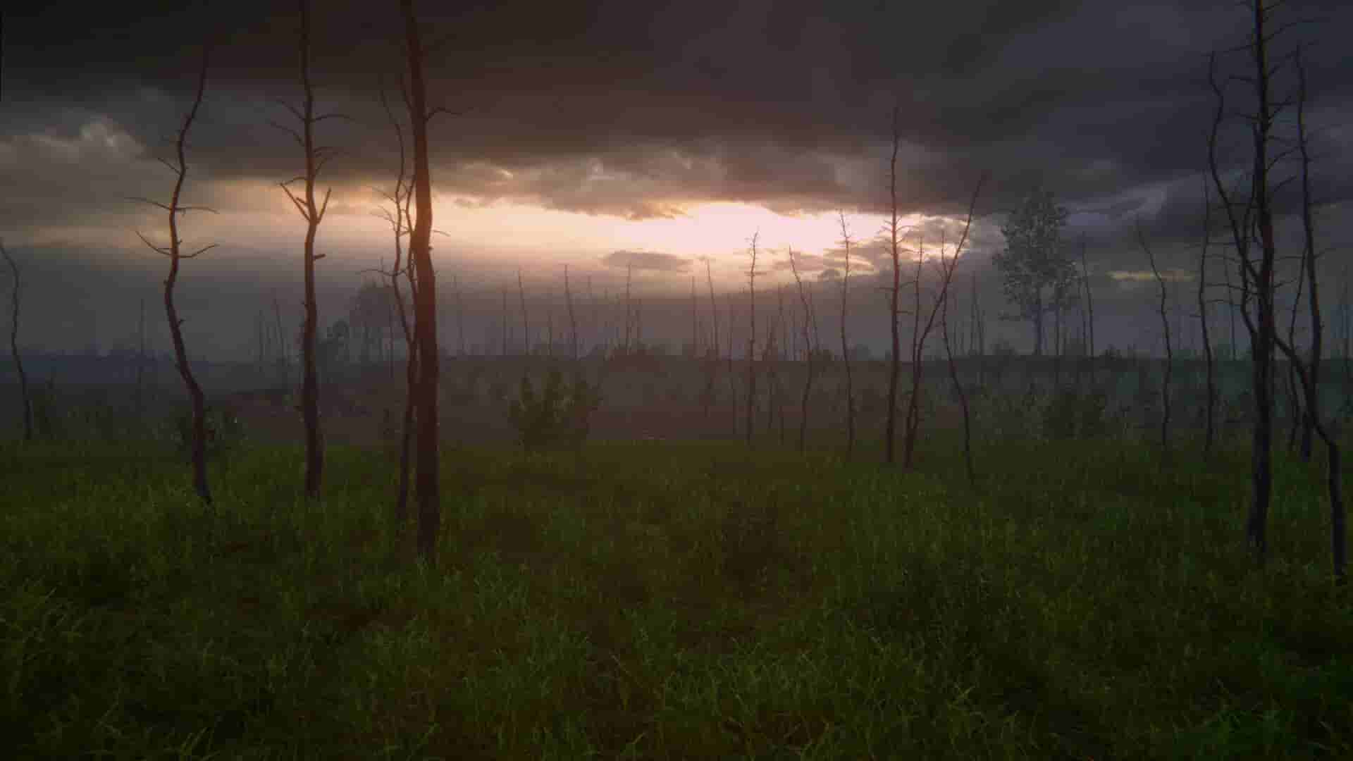 Birch Simulator screenshot thumbnail screenshot 10