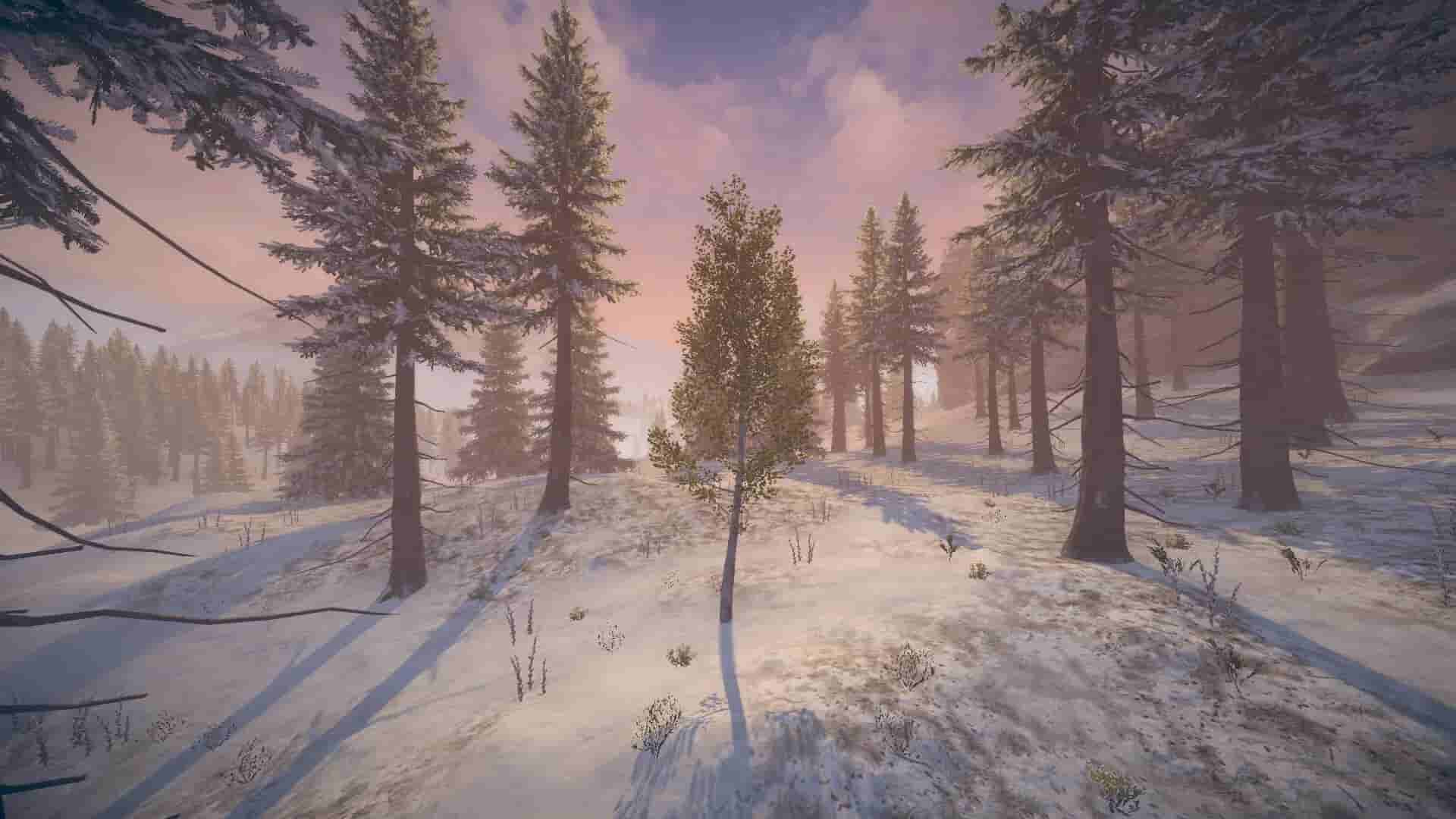 Birch Simulator screenshot thumbnail screenshot 11