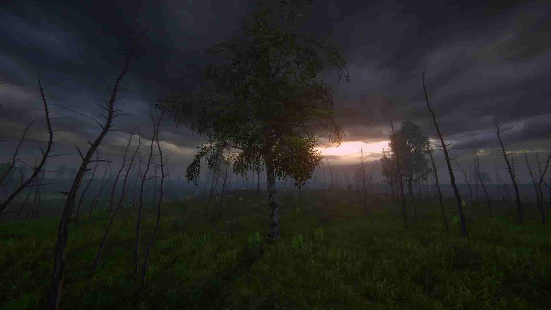 Birch Simulator screenshot thumbnail screenshot 16