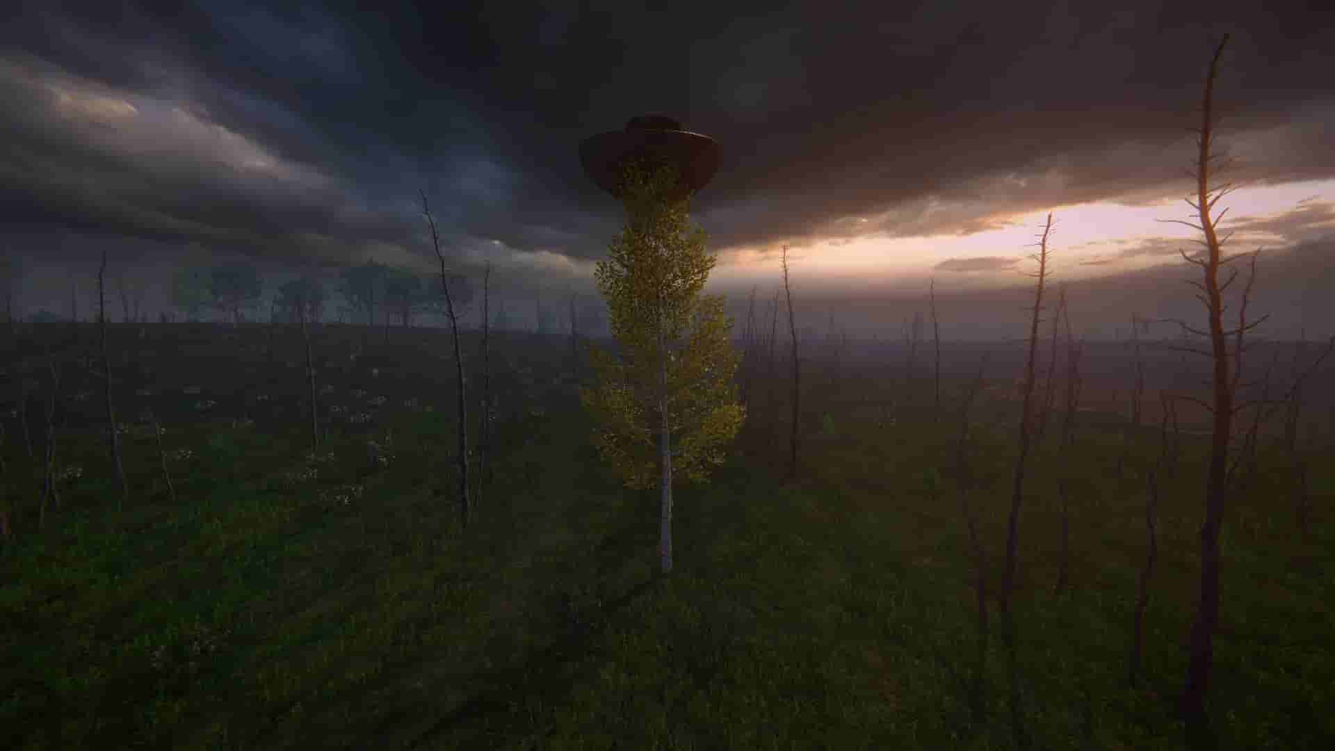 Birch Simulator screenshot thumbnail screenshot 9
