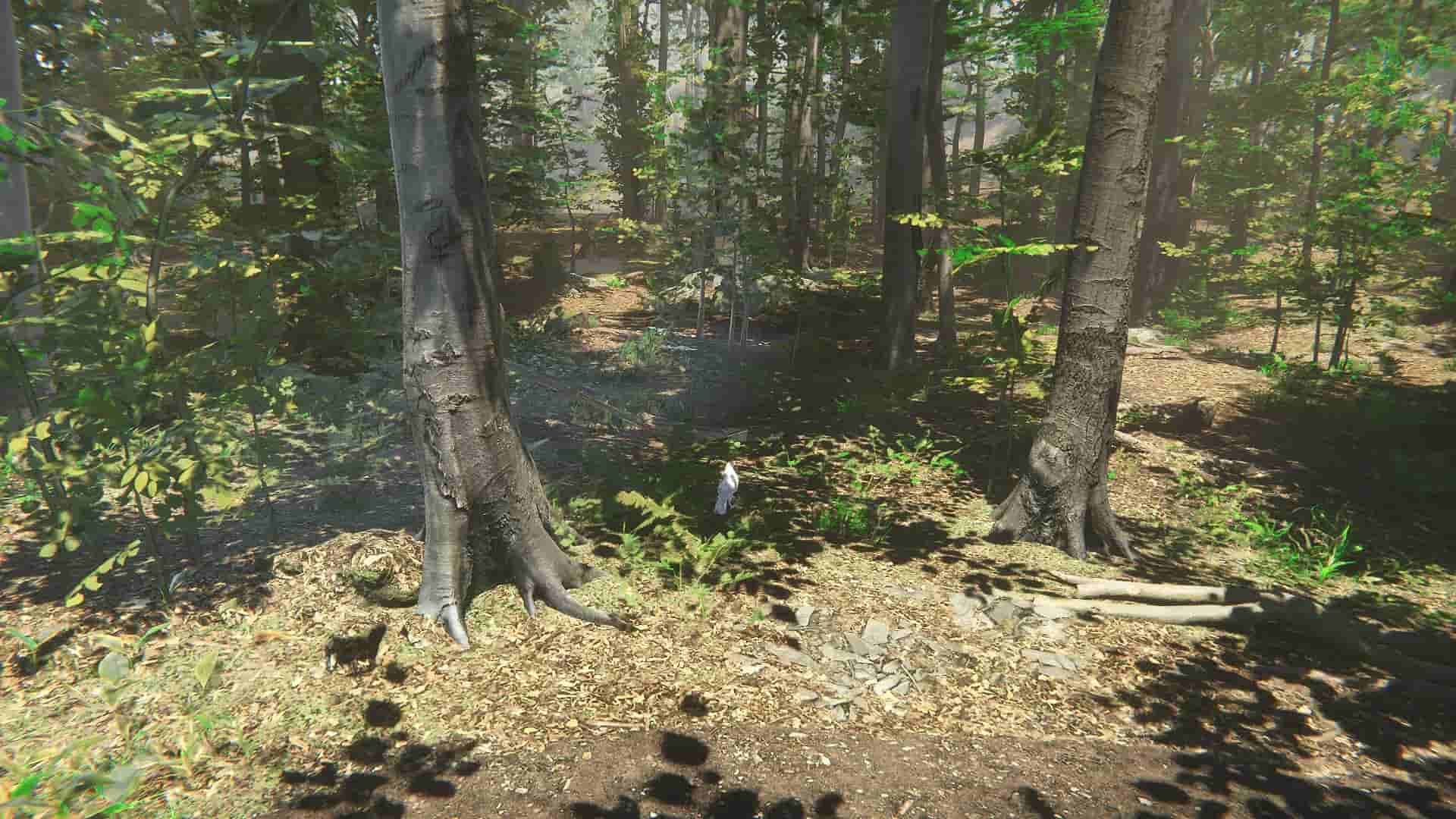 Bird screenshot thumbnail screenshot 0