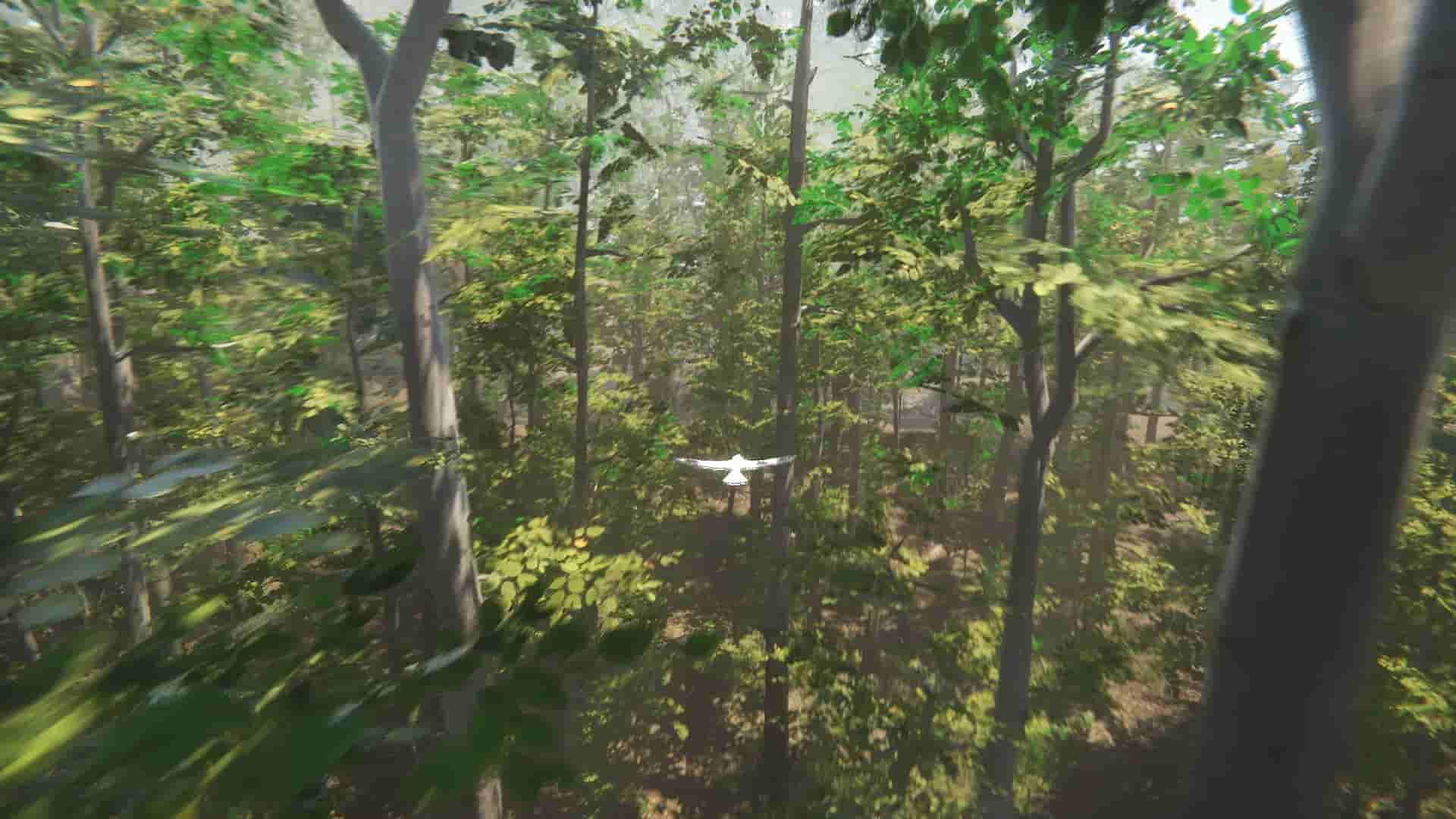 Bird screenshot thumbnail screenshot 1