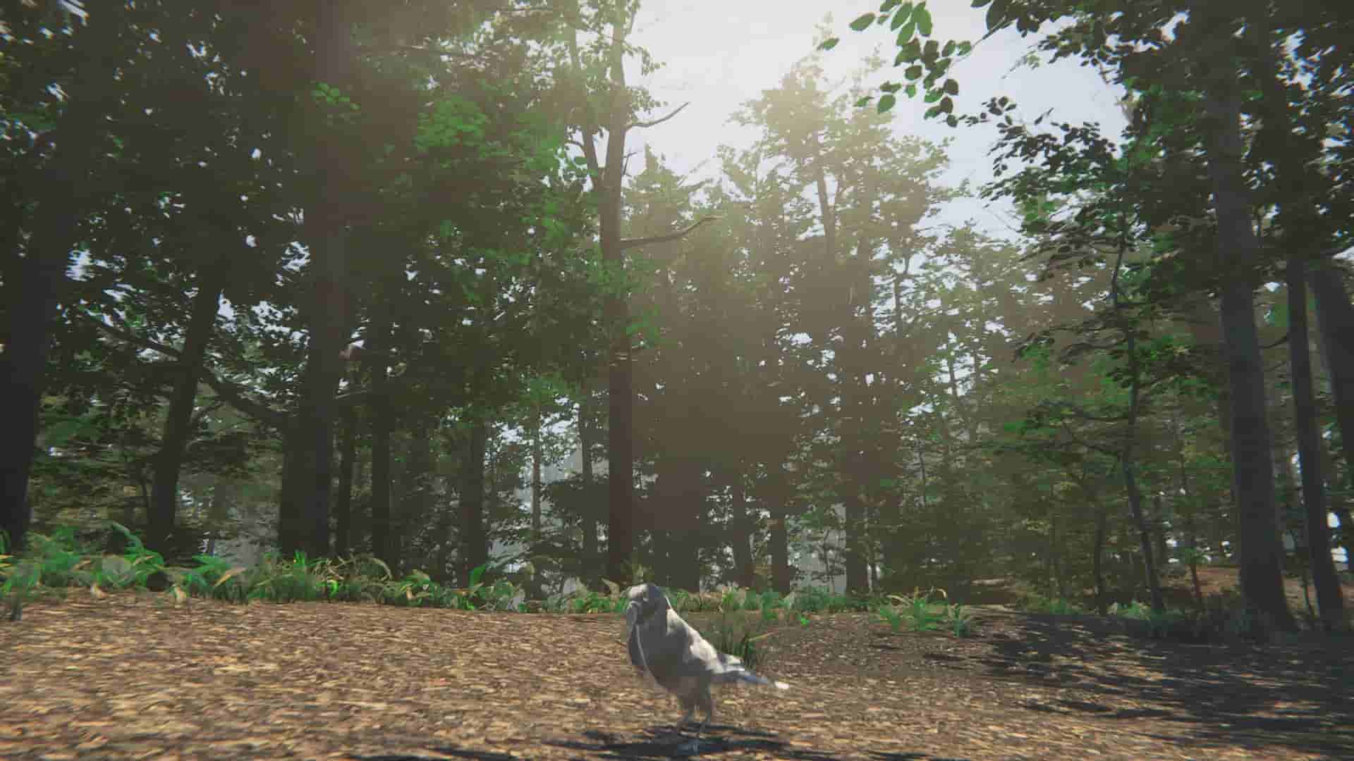 Bird screenshot thumbnail screenshot 2