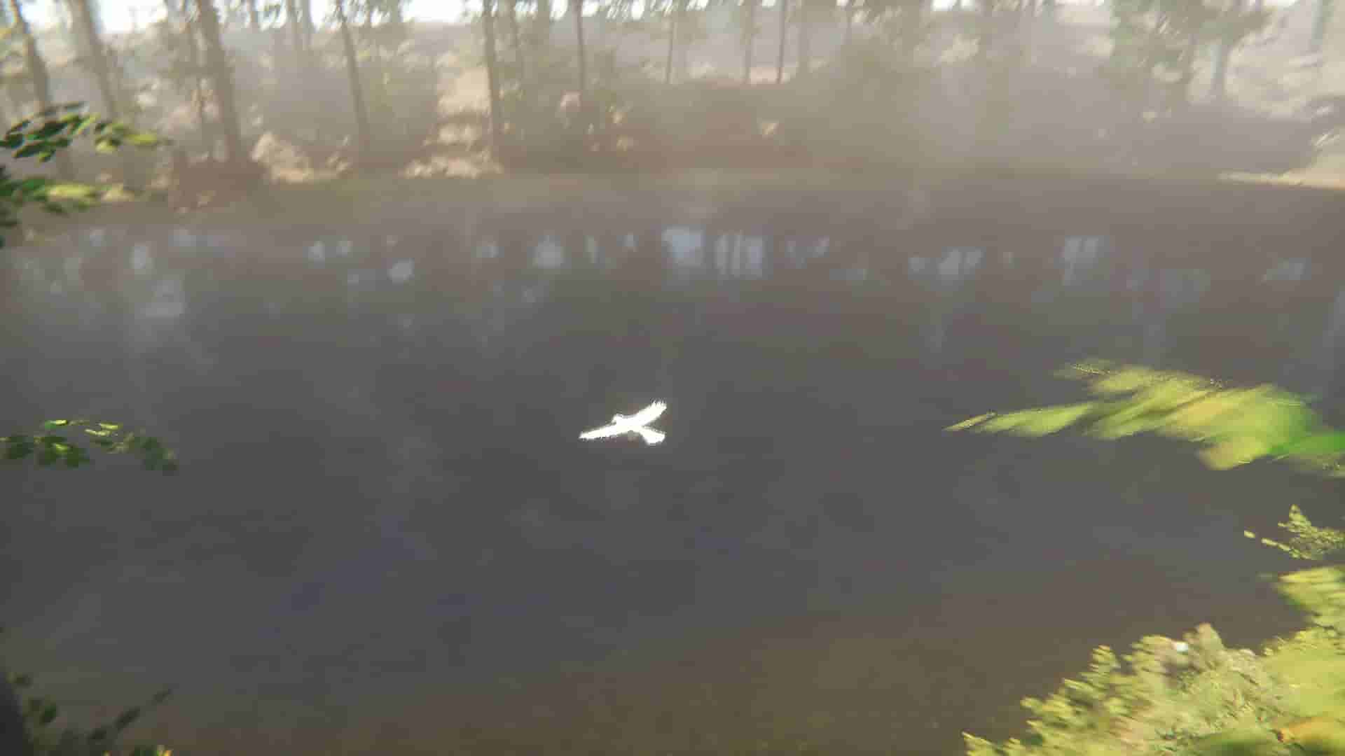 Bird screenshot thumbnail screenshot 3