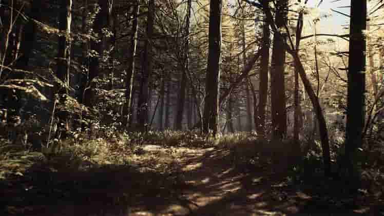 Blair Witch screenshot thumbnail screenshot 1