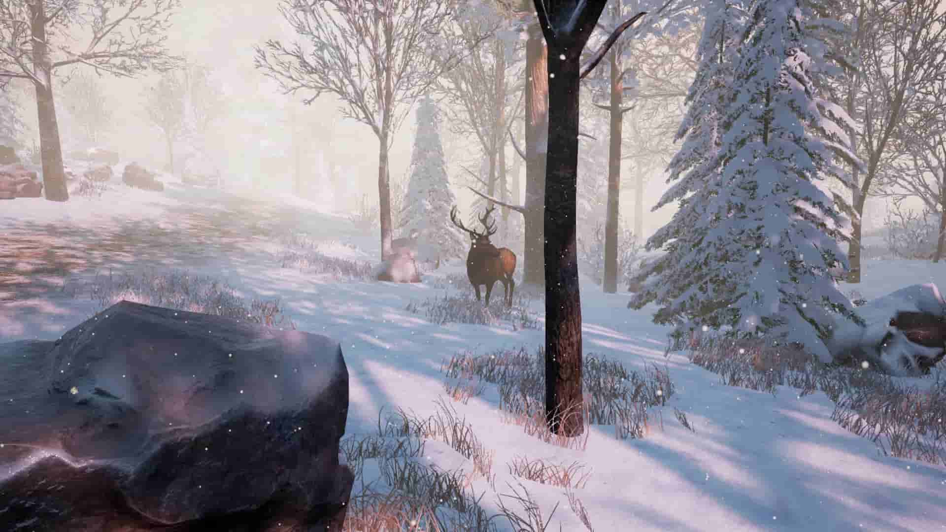 Bottle (2016) screenshot thumbnail screenshot 1