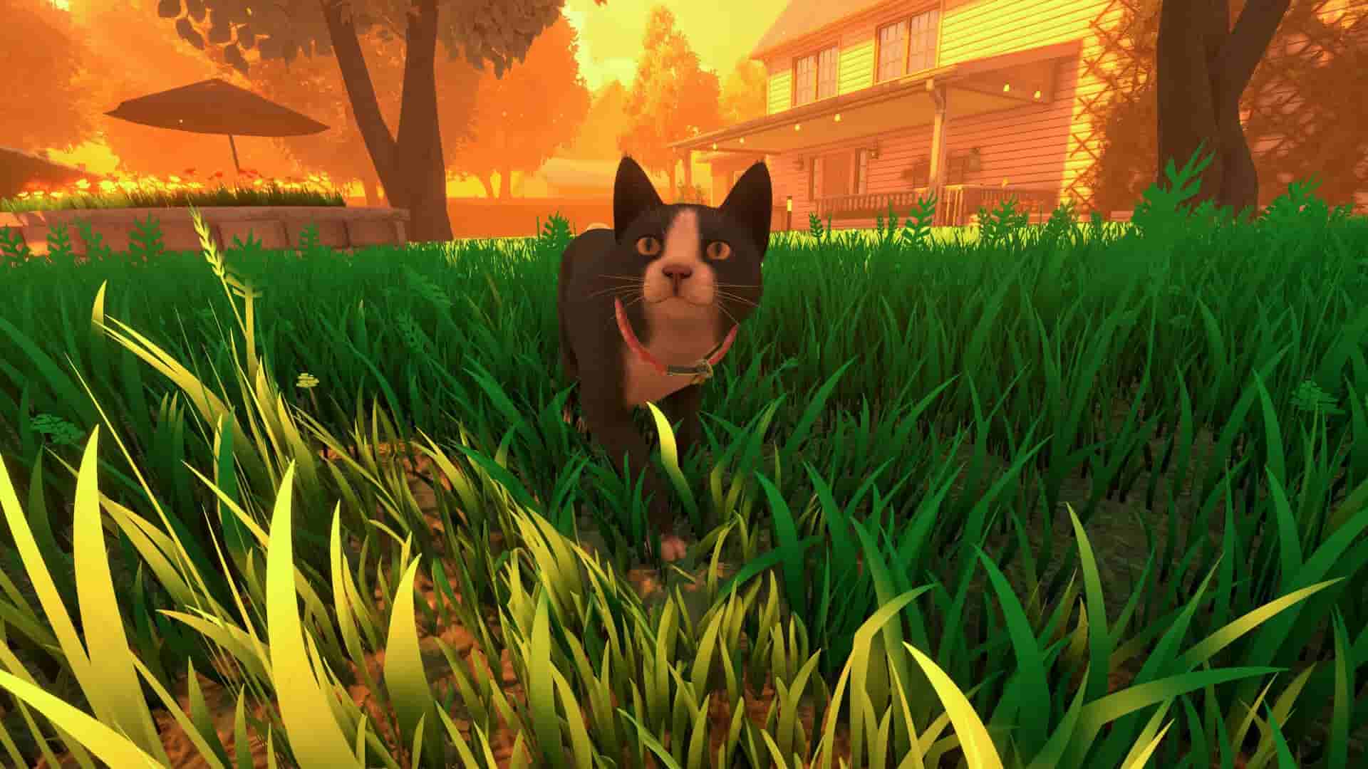 Copycat screenshot thumbnail screenshot 7