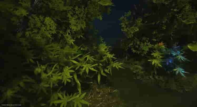 Creatura screenshot thumbnail screenshot 0