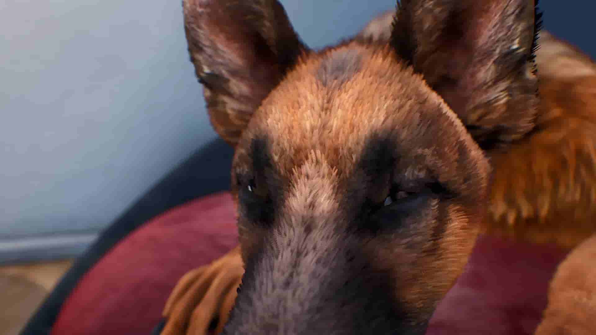 Doggy Up! screenshot thumbnail screenshot 0