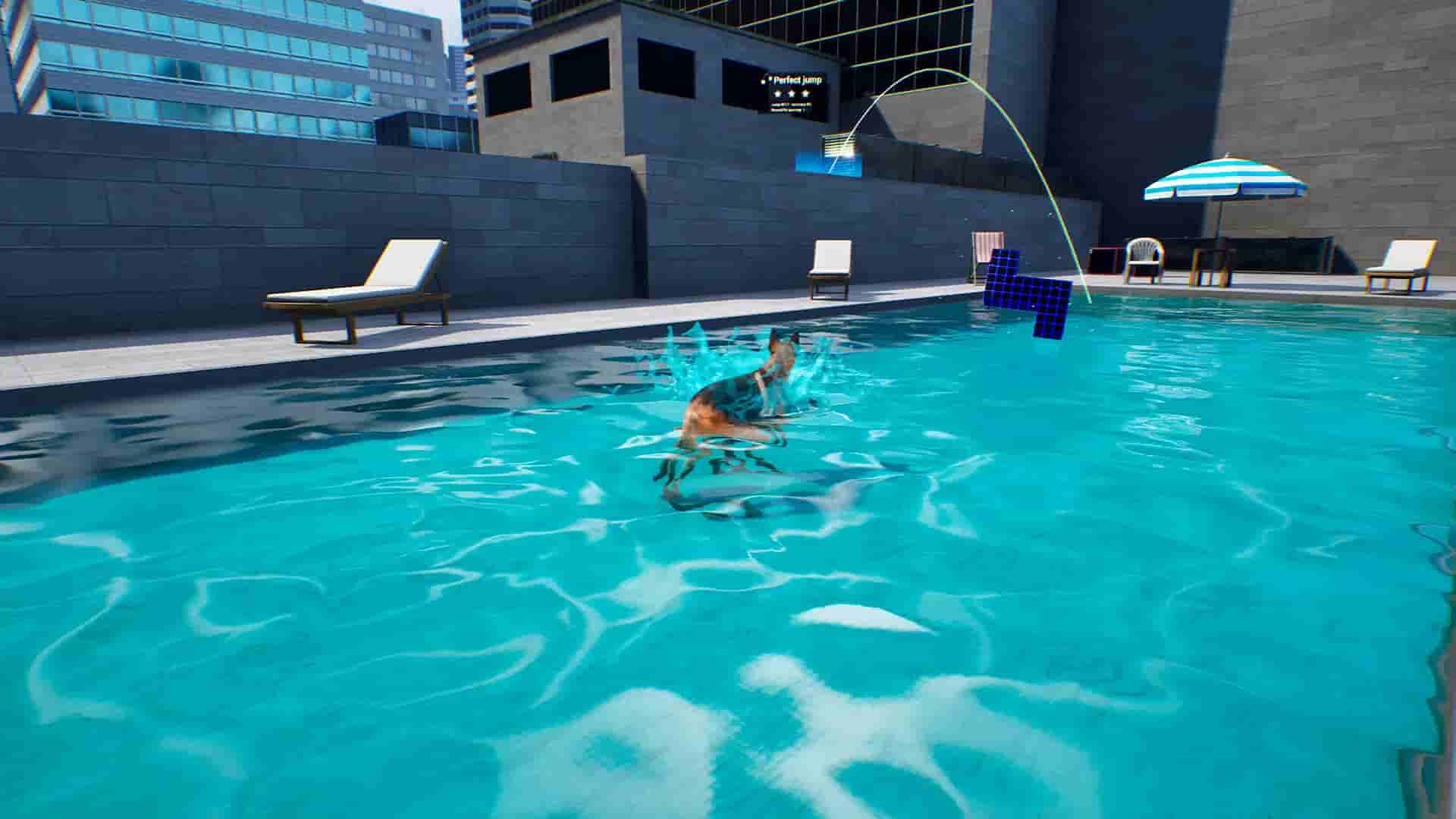 Doggy Up! screenshot thumbnail screenshot 13