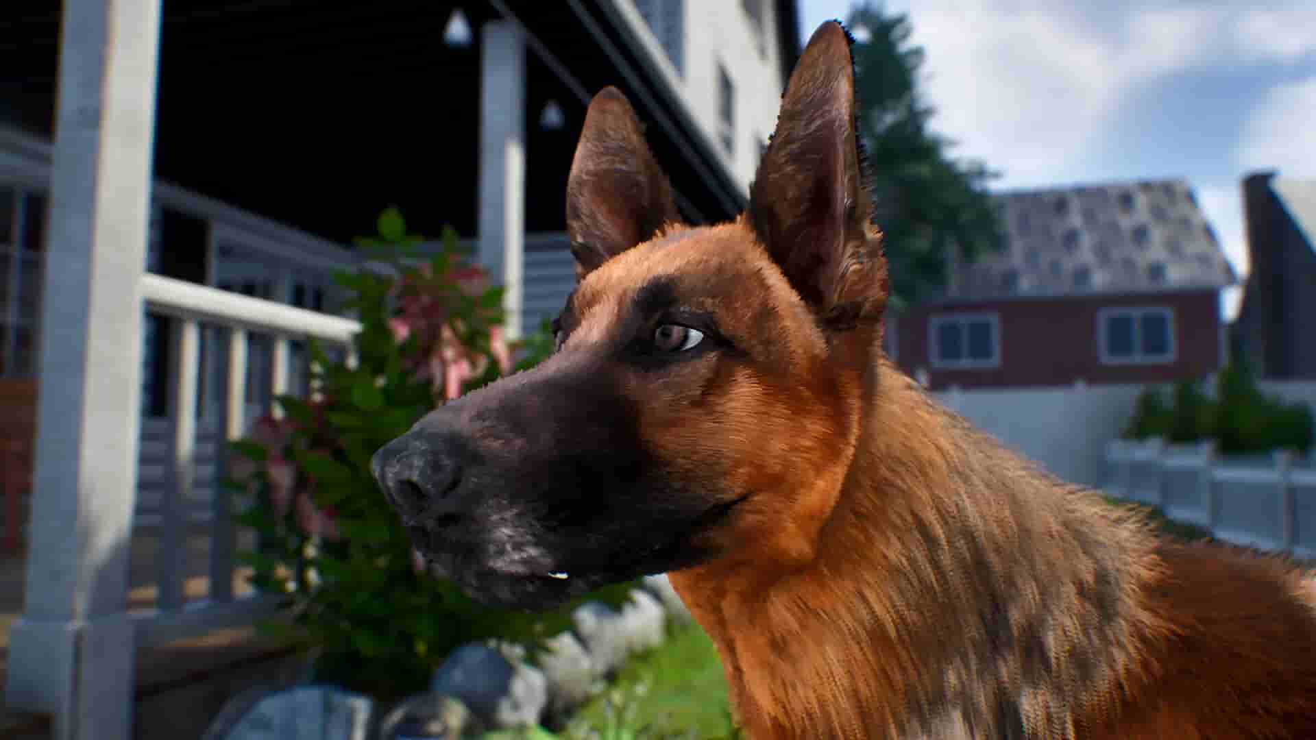 Doggy Up! screenshot thumbnail screenshot 14