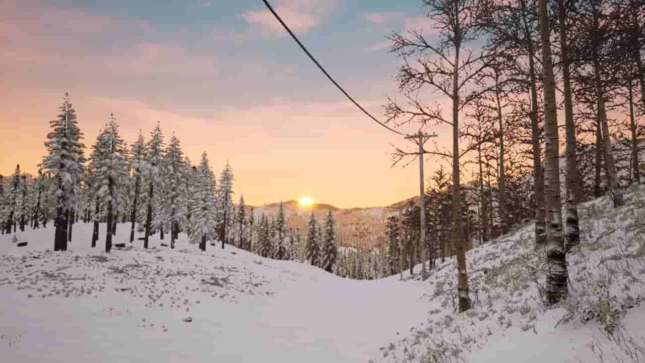 Erzurum screenshot thumbnail screenshot 1