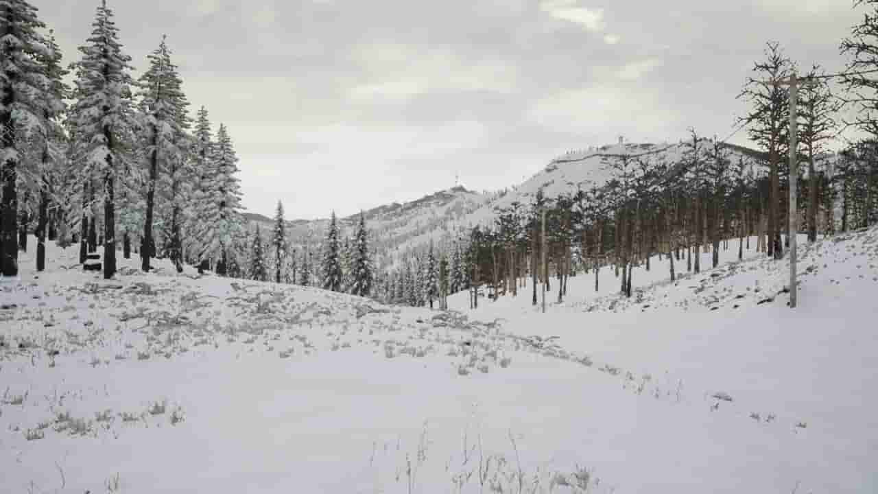 Erzurum screenshot thumbnail screenshot 2