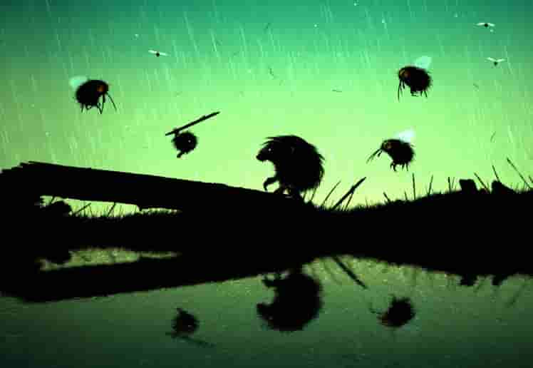 FEIST screenshot thumbnail screenshot 2
