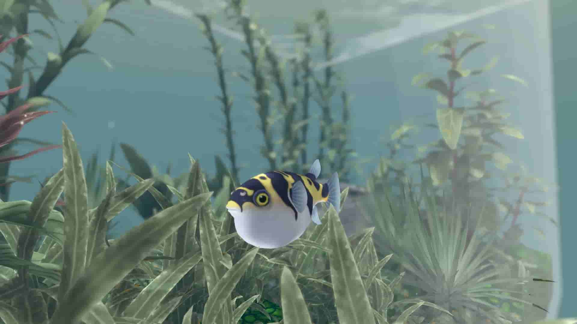 FISHERY screenshot thumbnail screenshot 12