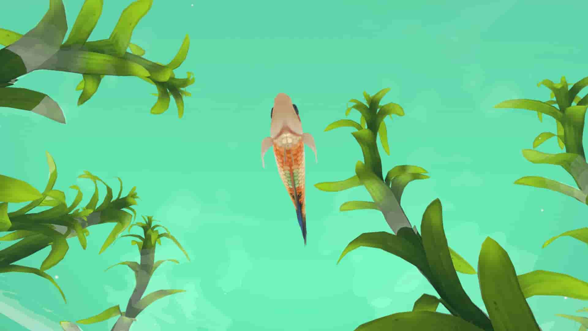 FISHERY screenshot thumbnail screenshot 5
