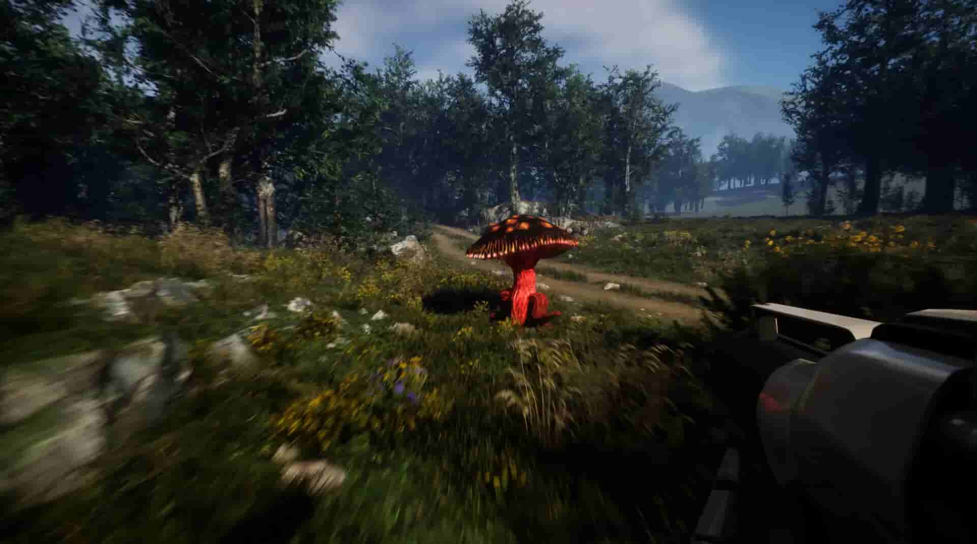 Forest Frenzy screenshot thumbnail screenshot 0