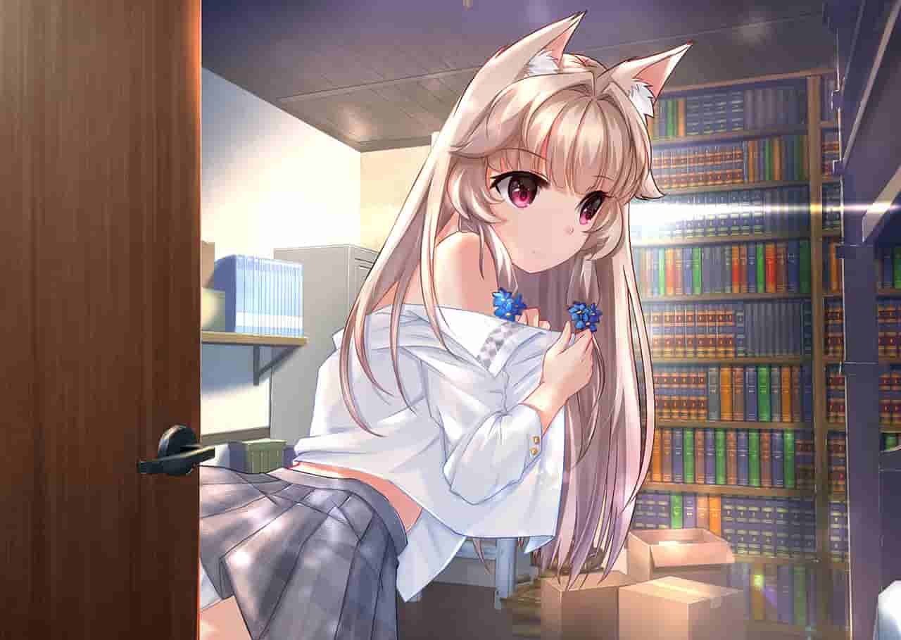 Fox Hime screenshot thumbnail screenshot 3