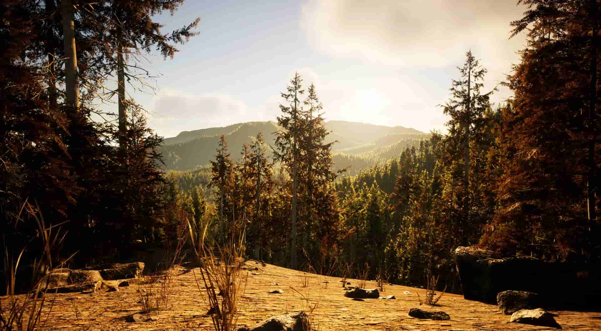 Gold Hunter screenshot thumbnail screenshot 0