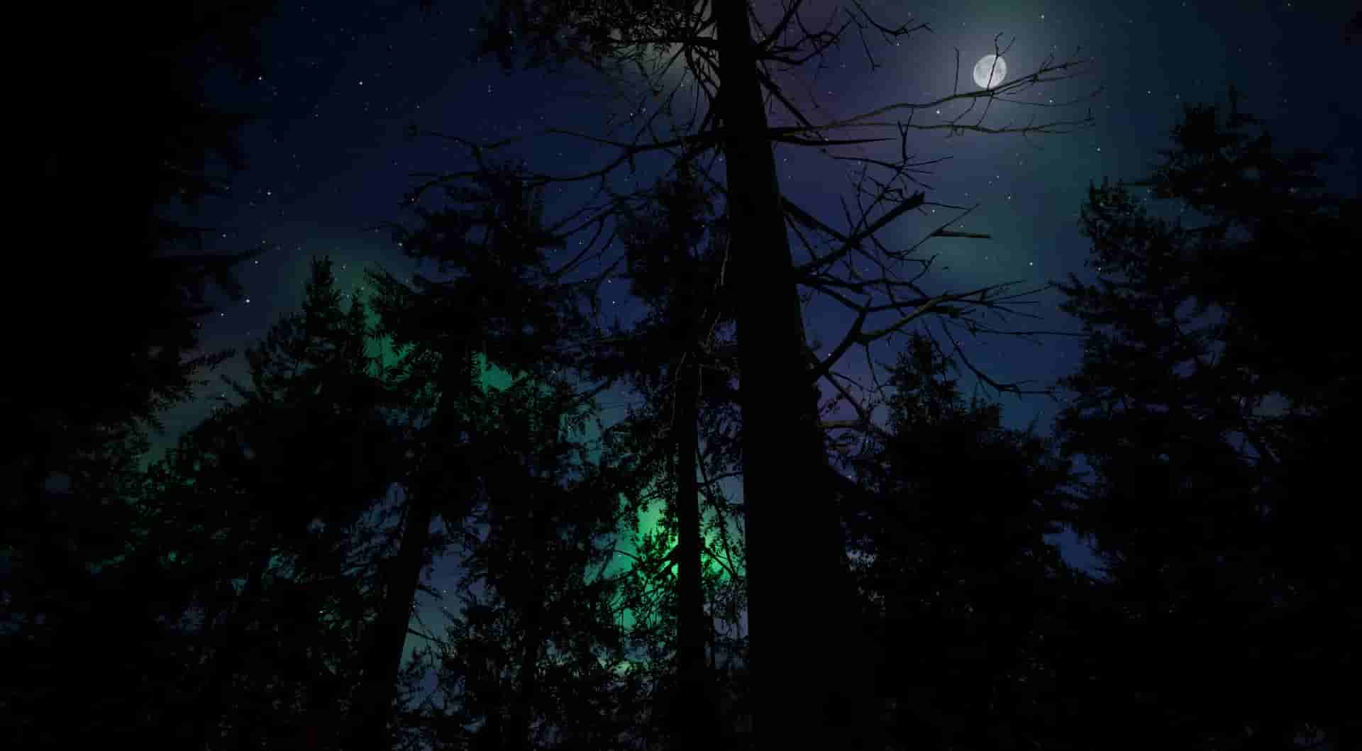 Gold Hunter screenshot thumbnail screenshot 8