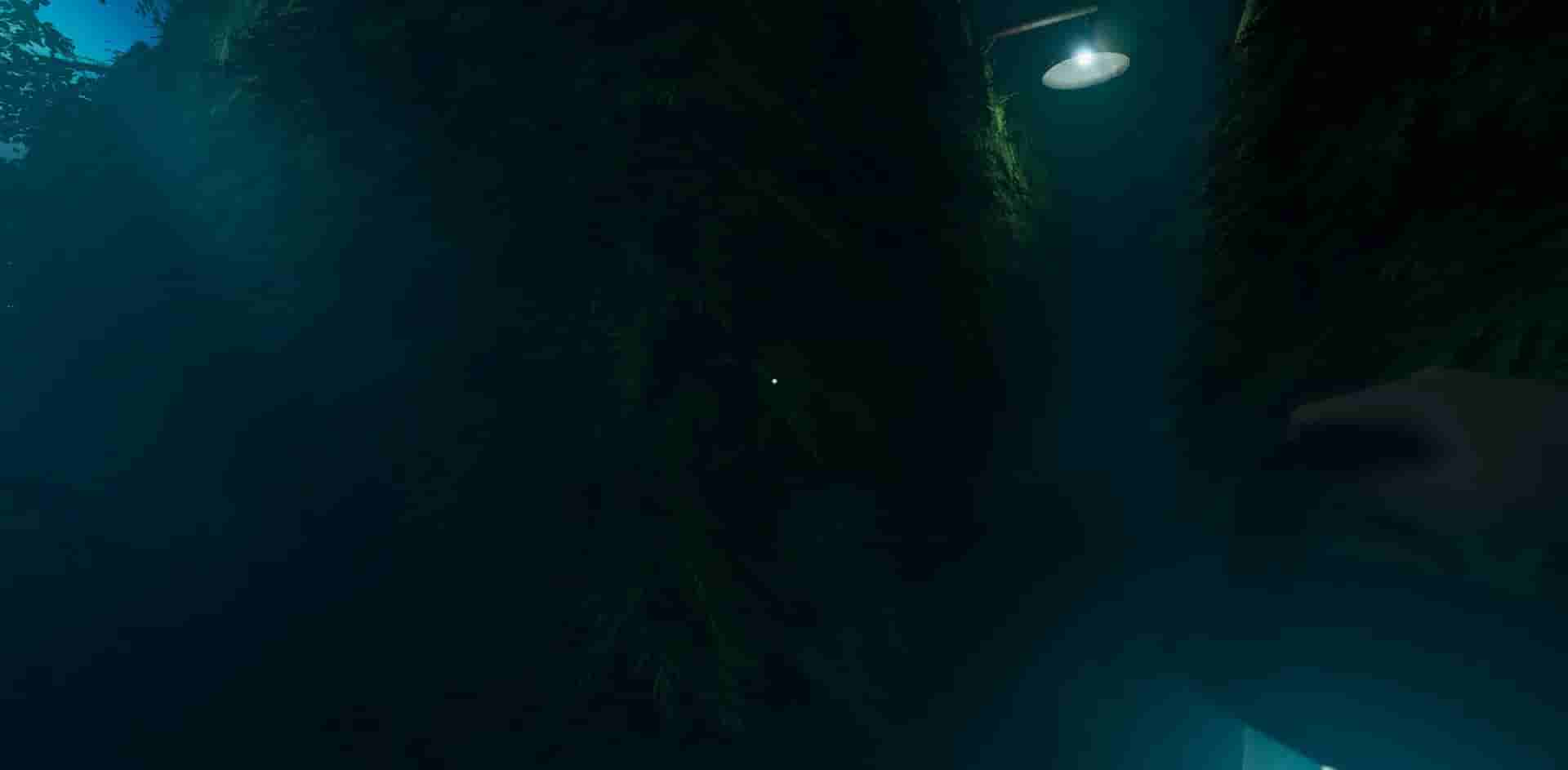 Labyrinthine screenshot thumbnail screenshot 10
