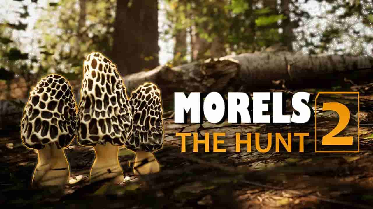 Morels The Hunt 2 screenshot thumbnail screenshot 0
