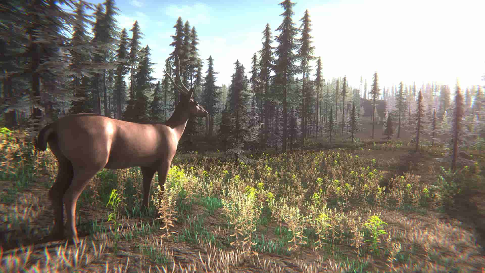 Mushroom Challenge screenshot thumbnail screenshot 5