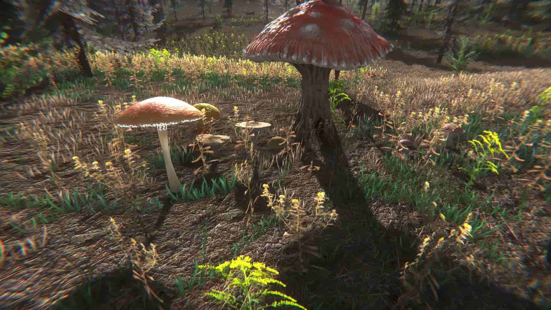 Mushroom Challenge screenshot thumbnail screenshot 7