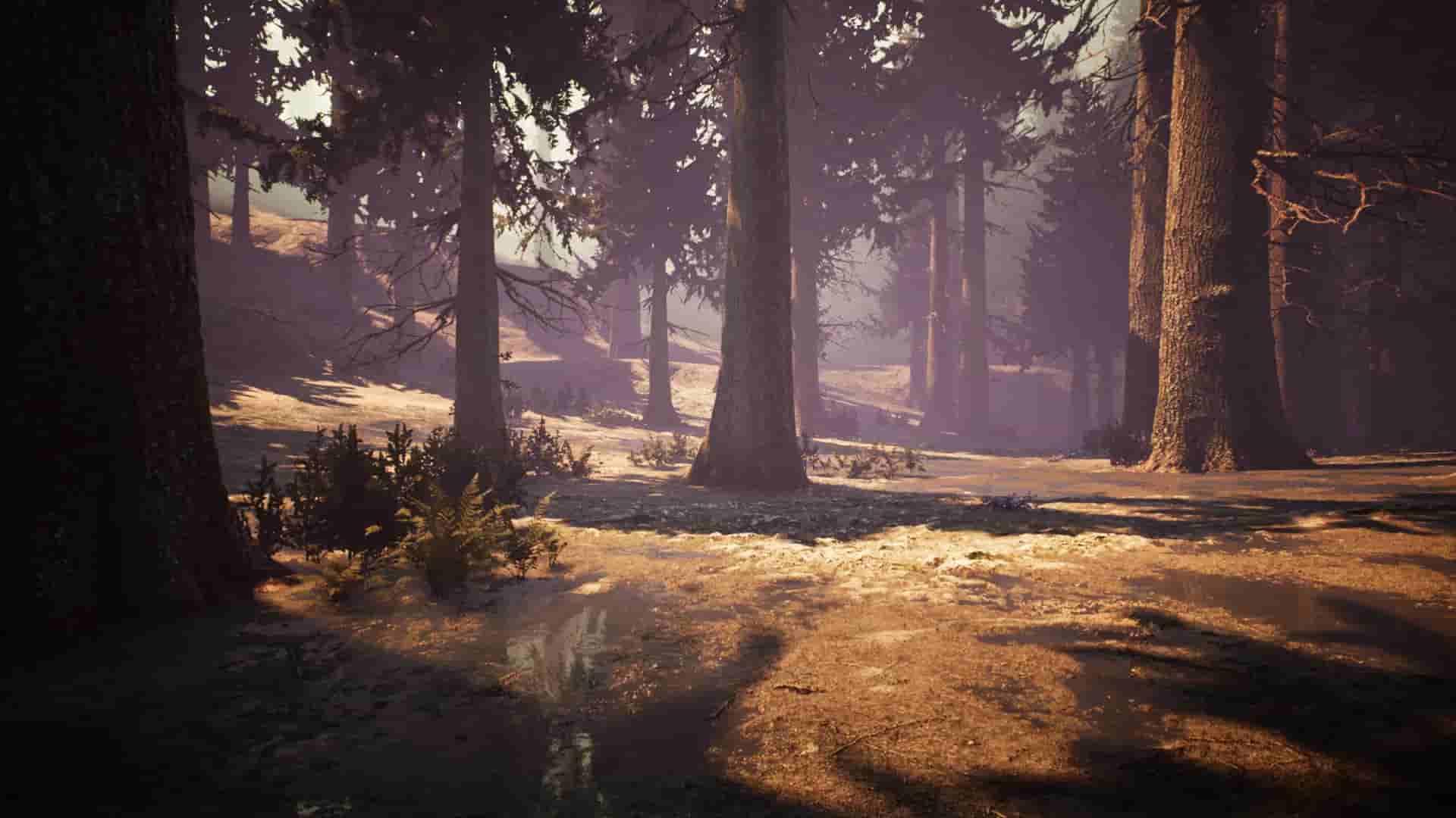 Nephise Begins screenshot thumbnail screenshot 12