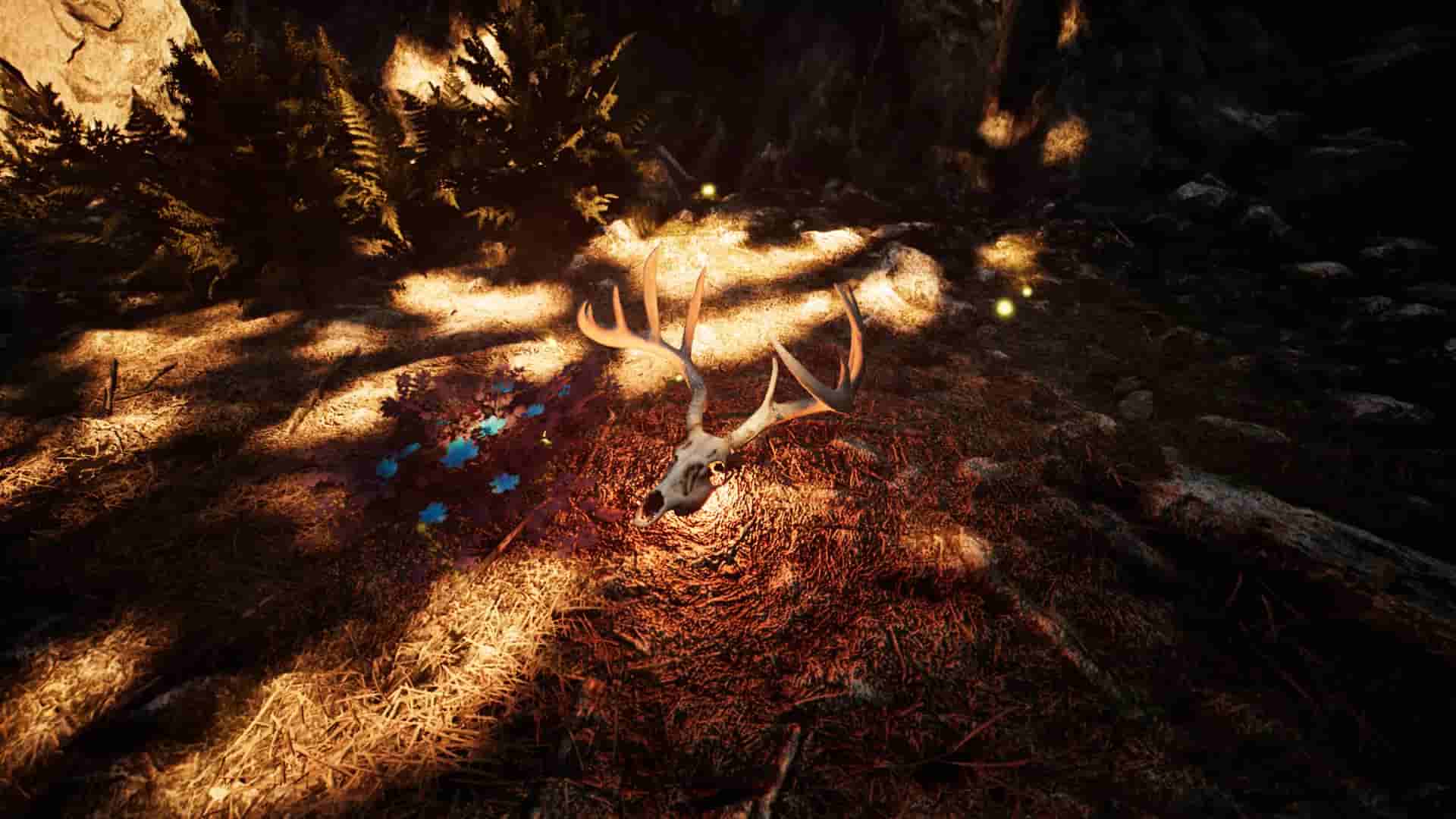 Nephise Begins screenshot thumbnail screenshot 4
