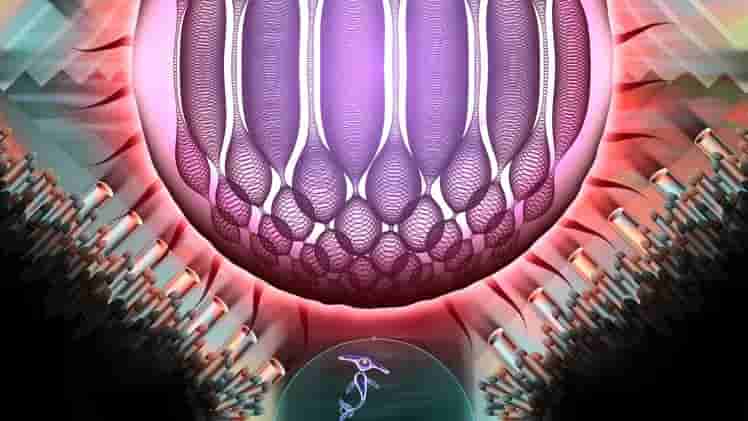 Onde screenshot thumbnail screenshot 11