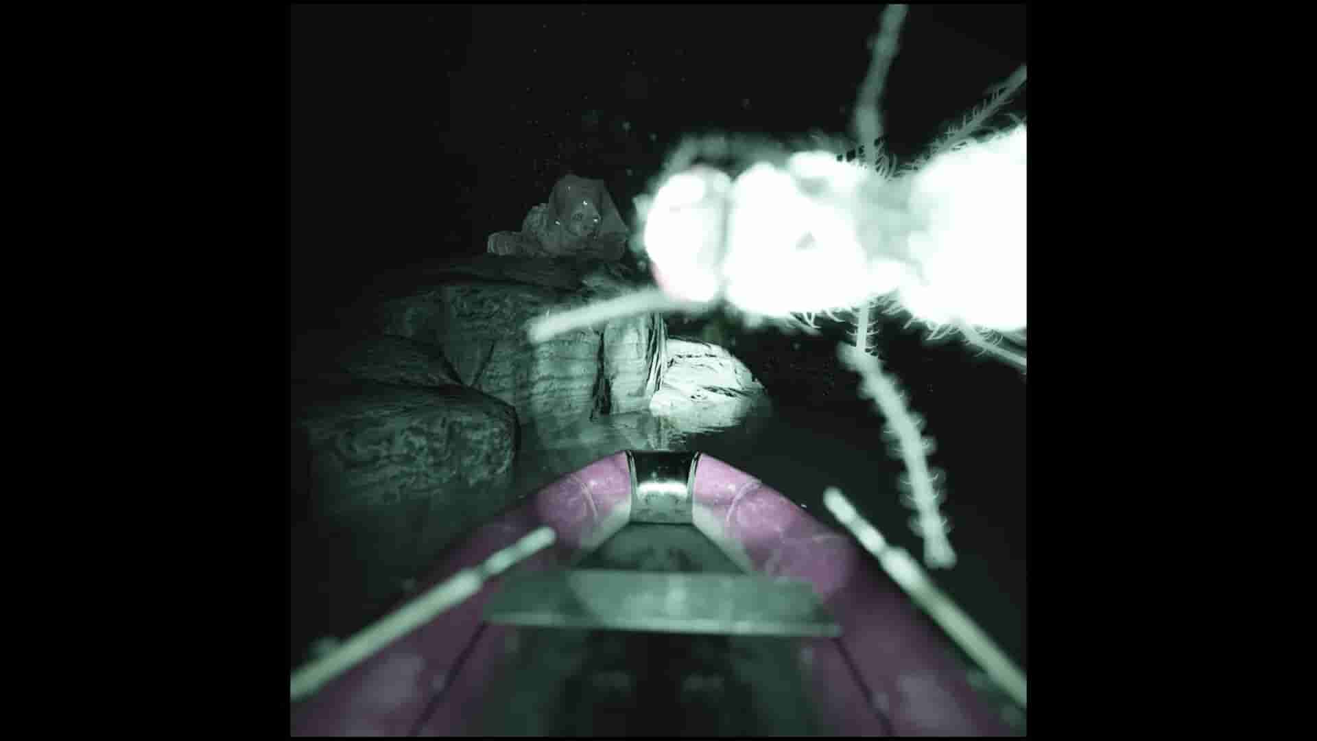 Raccoon on a boat screenshot thumbnail screenshot 1