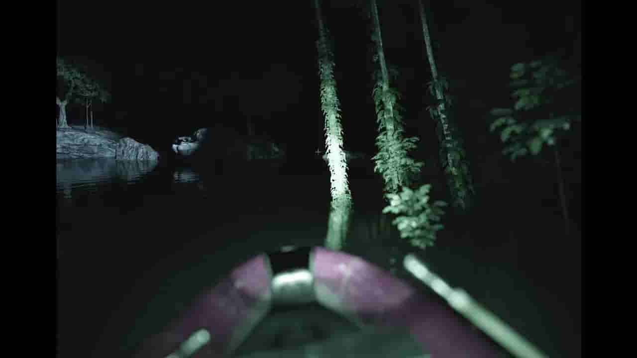 Raccoon on a boat screenshot thumbnail screenshot 7