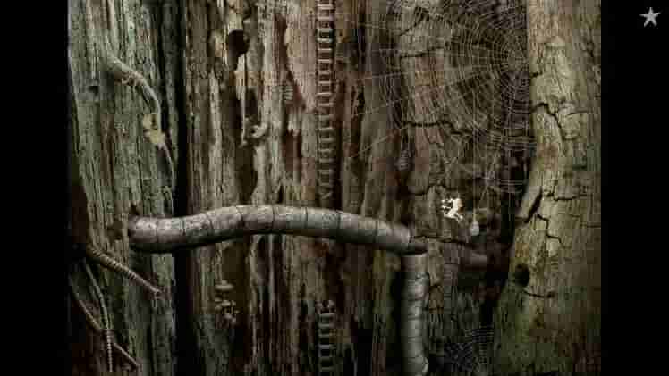 Samorost 2 screenshot thumbnail screenshot 4